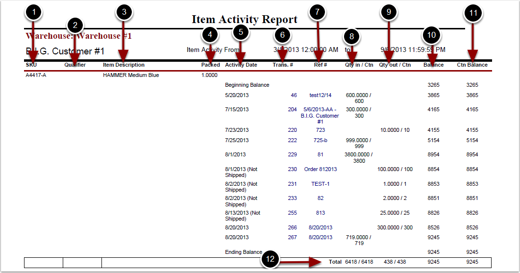 ItemActivityReport-Columns