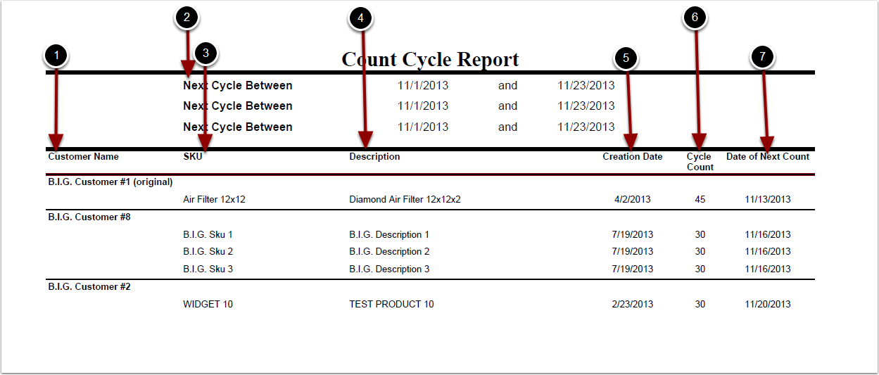 Reports-Management-CycleCount-ExampleOutput